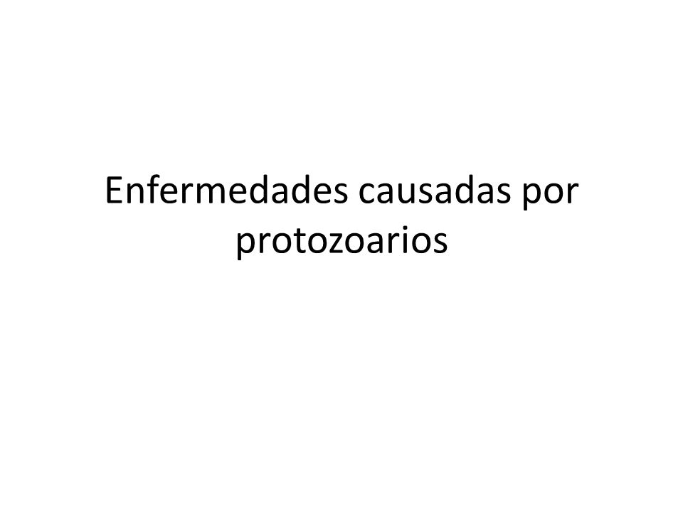 causas de enfermedades por protozoos